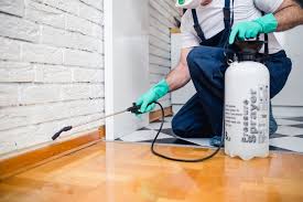 Best Real Estate Pest Inspections  in Byron, CA